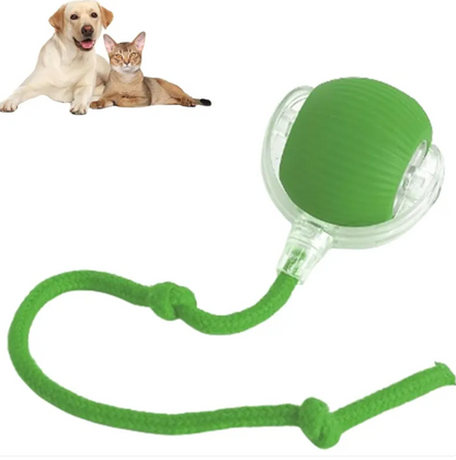 Smart Rolling Ball