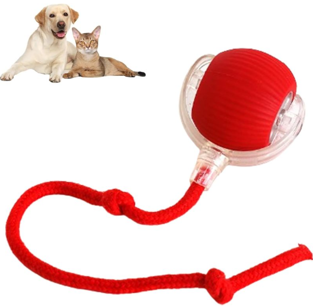 Smart Rolling Ball
