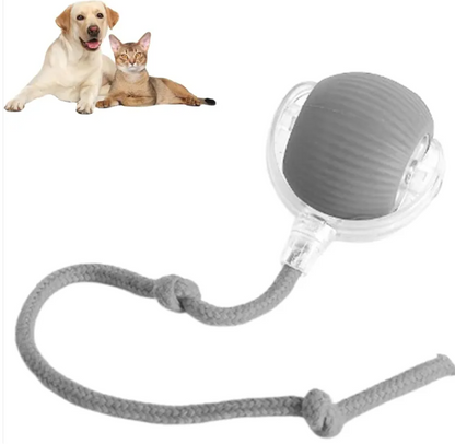 Smart Rolling Ball
