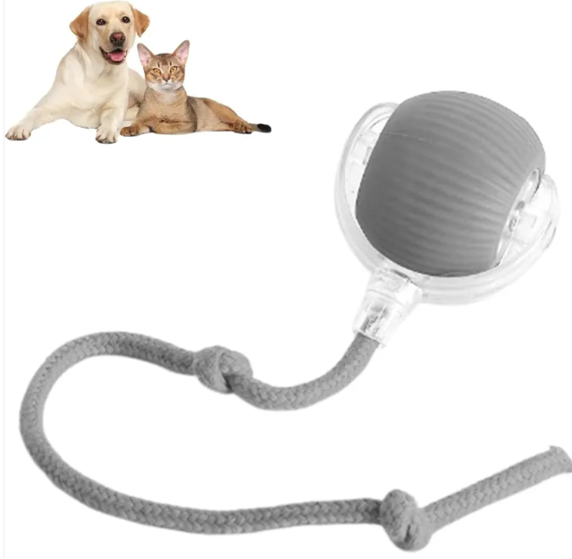Smart Rolling Ball